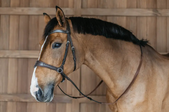 Testiera Dy'On modello Working Motion marrone