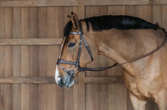 Testiera Dy'On modello Working Motion marrone