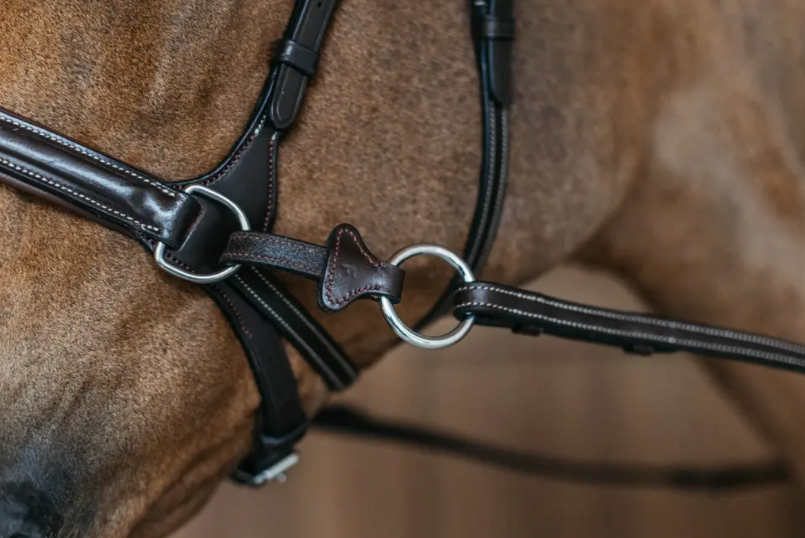 Testiera Dy'On modello Working Motion marrone