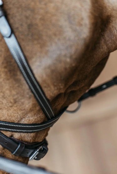 Testiera Dy'On modello Working Motion marrone