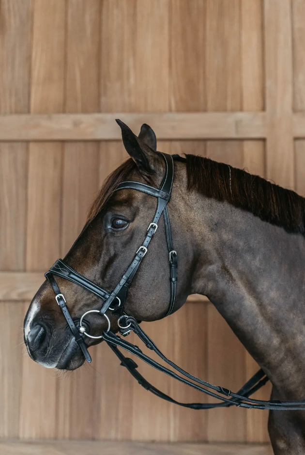 Testiera Dy'On modello Working Motion nero