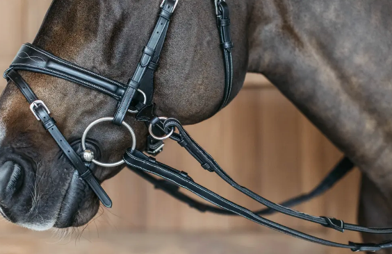 Testiera Dy'On modello Working Motion nero