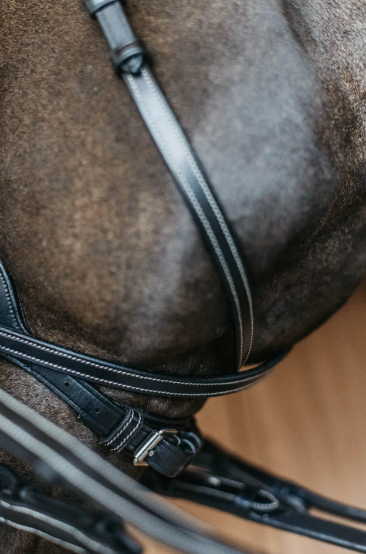 Testiera Dy'On modello Working Motion nero