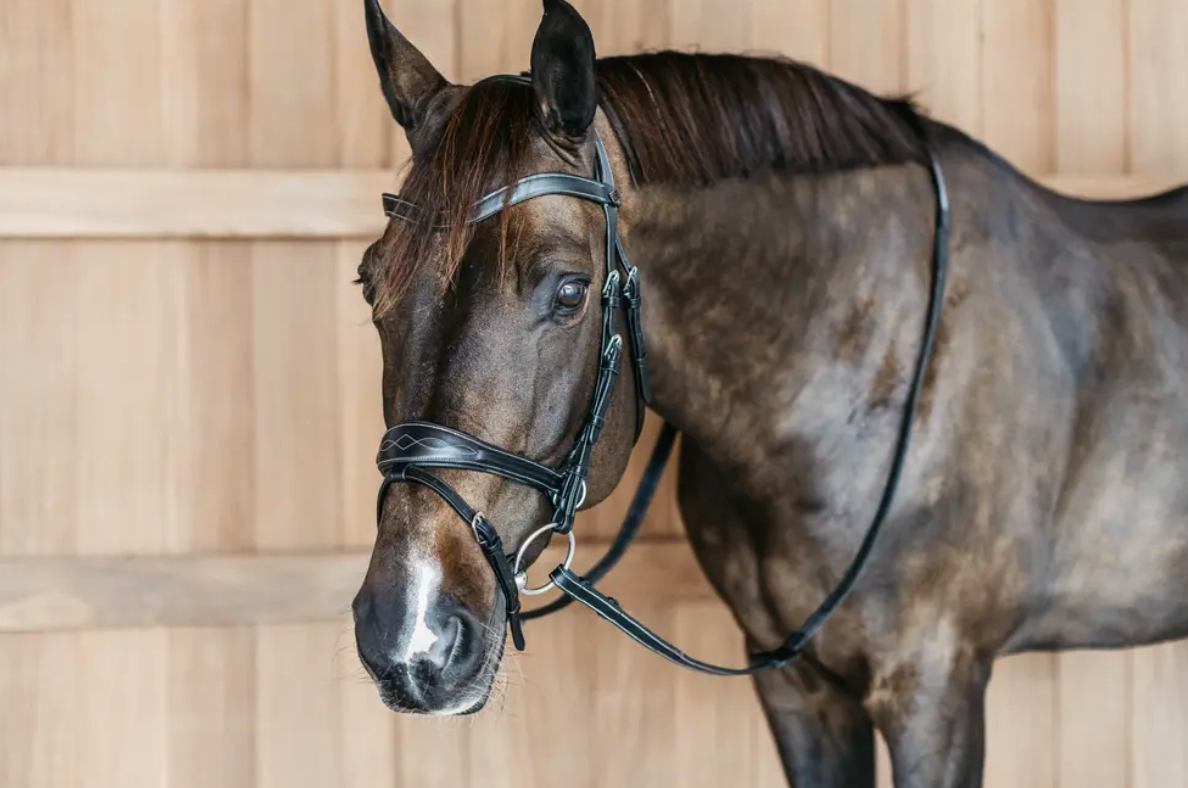 Testiera Dy'On modello Working Motion nero