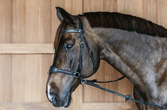 Testiera Dy'On modello Working Motion nero