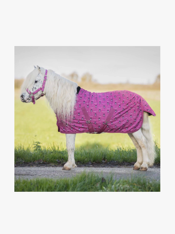 Coperta da box pony con interno in pile QHP