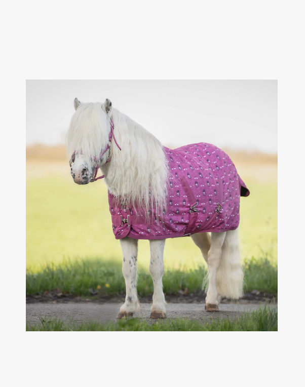 Coperta da box pony con interno in pile QHP