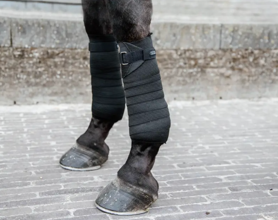 Fasce da lavoro elastiche Kentucky