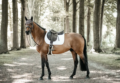 Sottosella jumping modello Fishbone Kentucky bianco