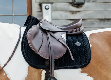 Sottosella jumpin Velvet Pearls Kentucky nero