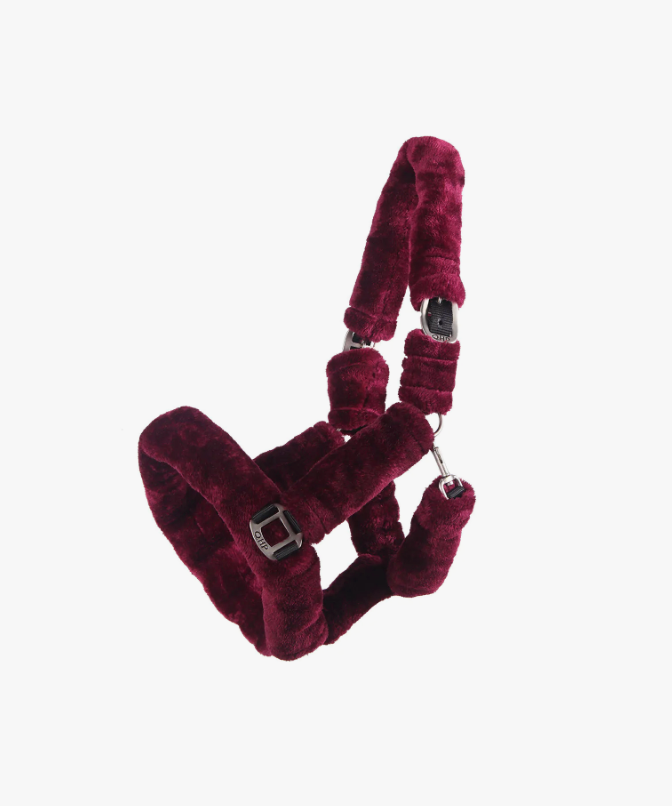 Capezza per cavallo modello Alaska QHP