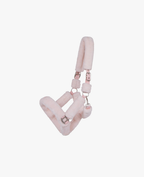 Capezza per cavallo modello Alaska QHP