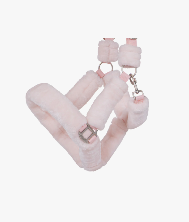 Capezza per cavallo modello Alaska QHP