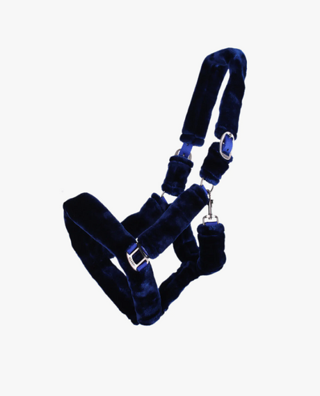 Capezza per cavallo modello Alaska QHP