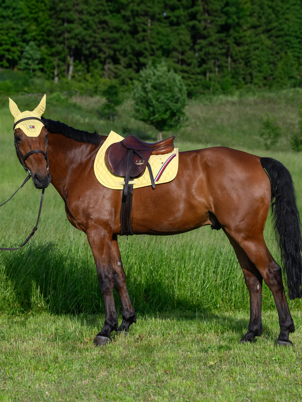 Sottosella Stanford e cuffia Lexington Tommy Hilfiger giallo