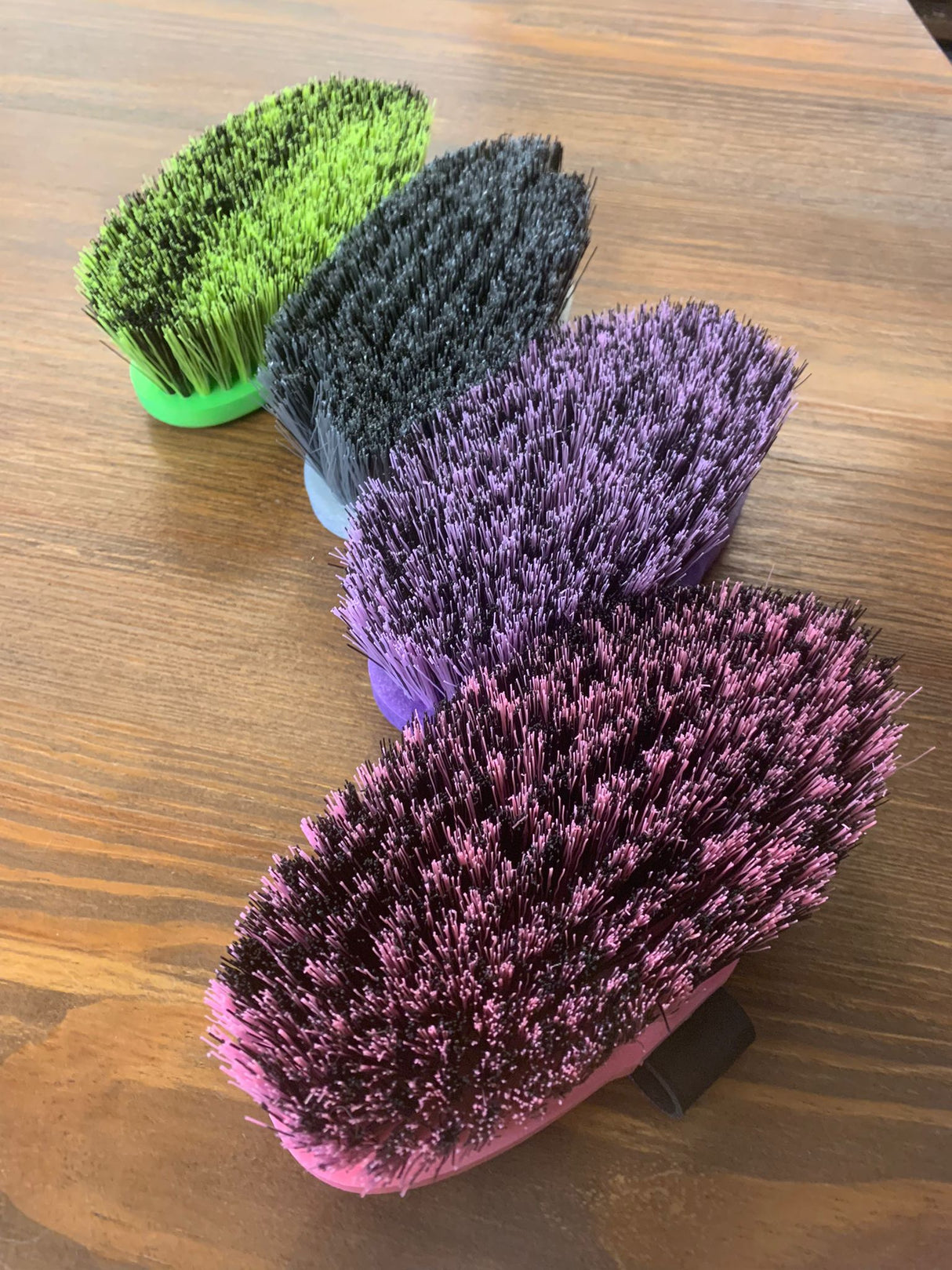 Brusca Brenig Madoc Brush Haas