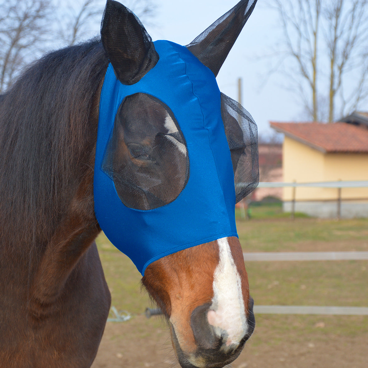 MASCHERA ANTIMOSCHE IN LYCRA WINNER COPRIORECCHIE IN RETE
