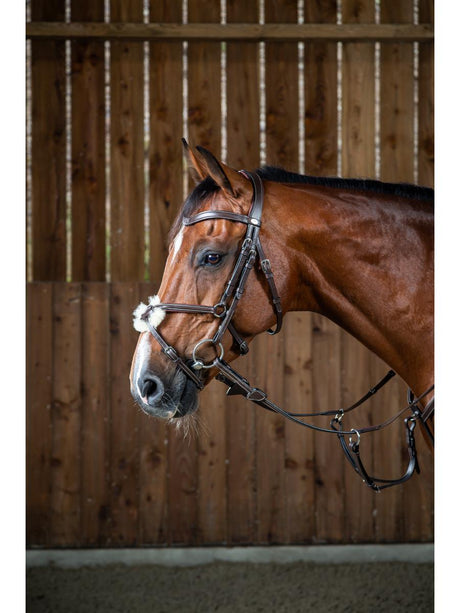 Testiera capezzino messicano nero Dy'On