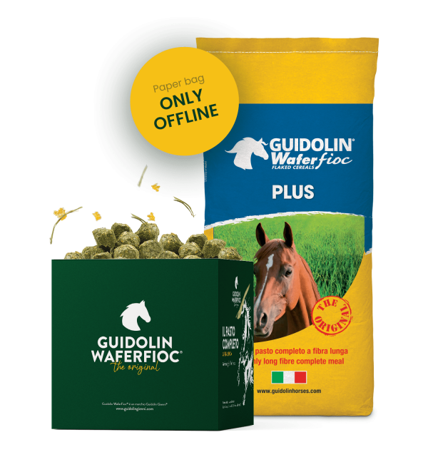 Wafer Fioc Plus Guidolin 25 kg