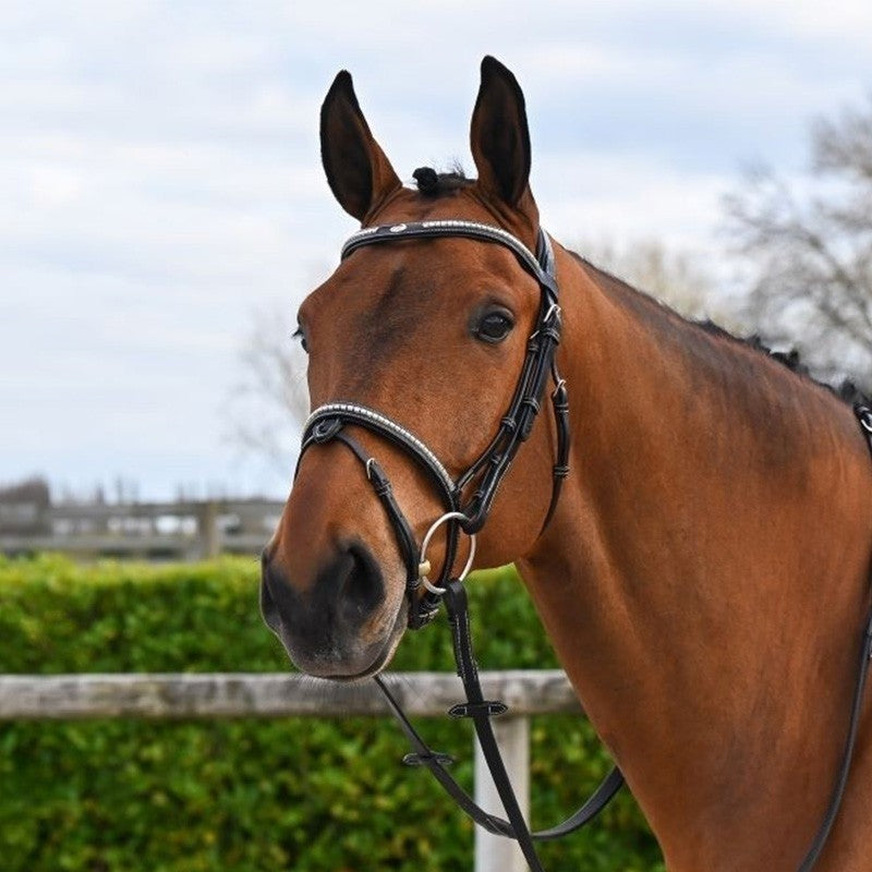 Testiera Clincher Nera - One Collection Premium Jump'in