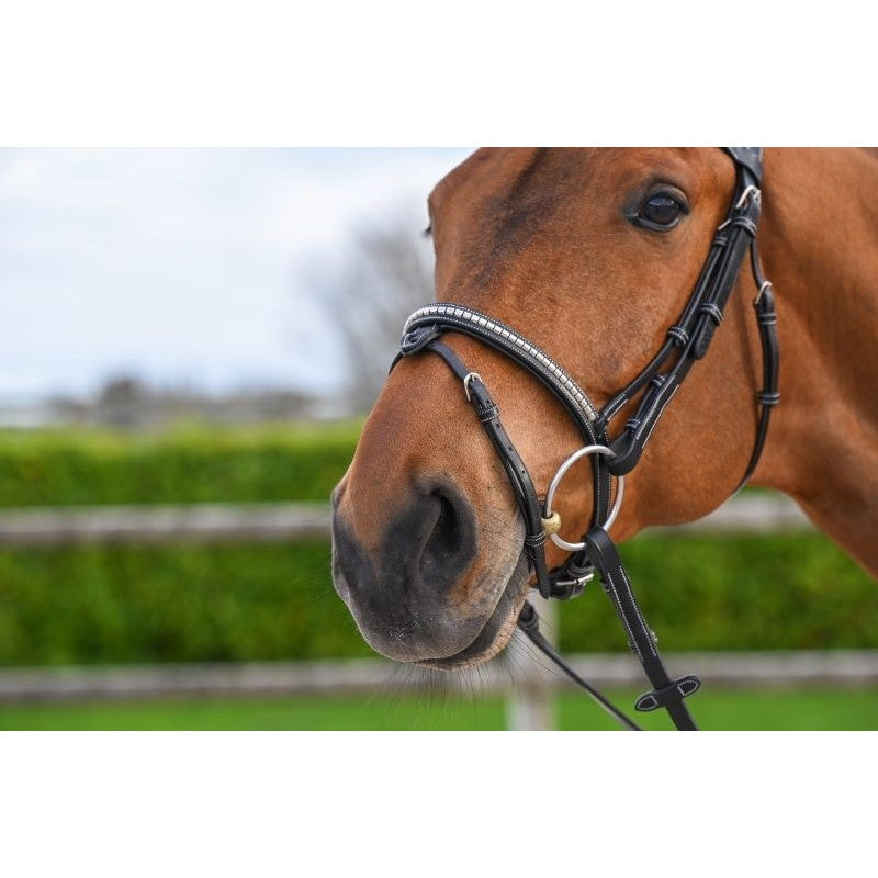 Testiera Clincher Nera - One Collection Premium Jump'in