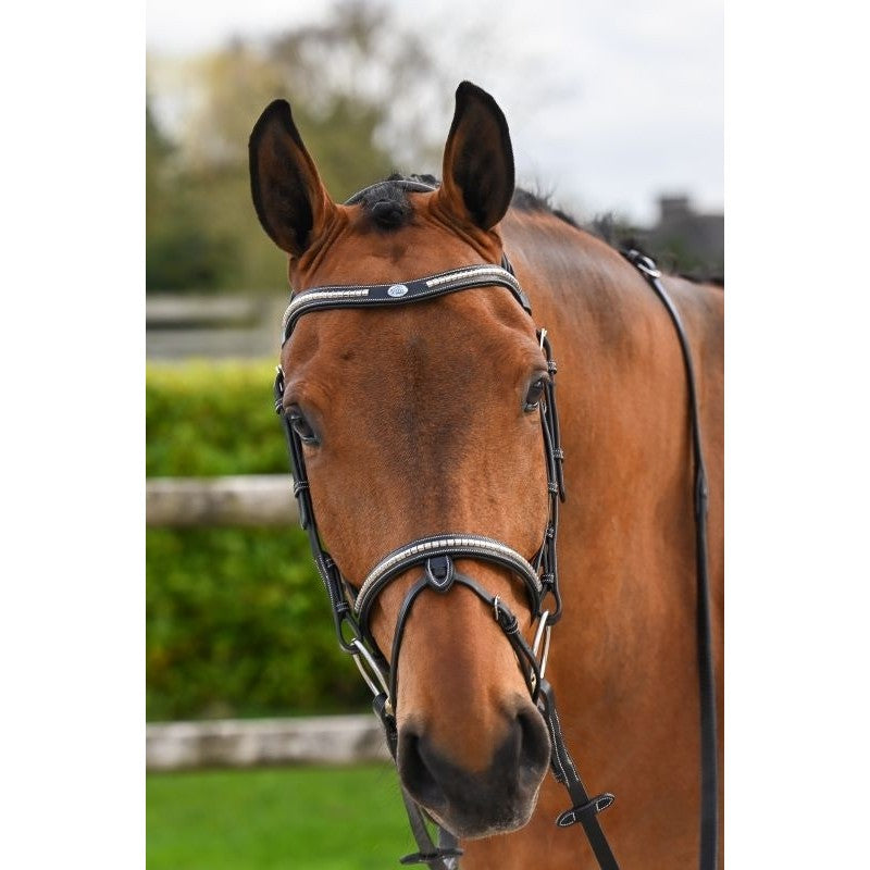 Testiera Clincher Nera - One Collection Premium Jump'in