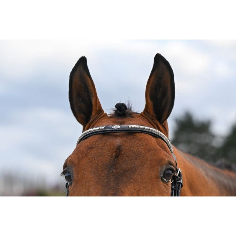 Testiera Clincher Nera - One Collection Premium Jump'in