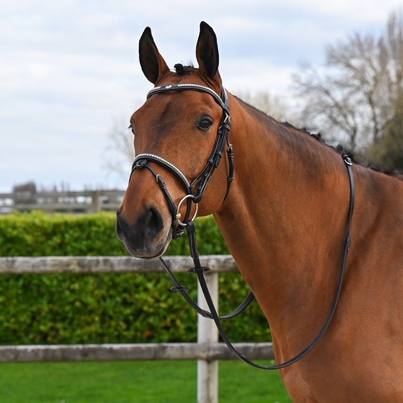 Testiera Clincher Nera - One Collection Premium Jump'in