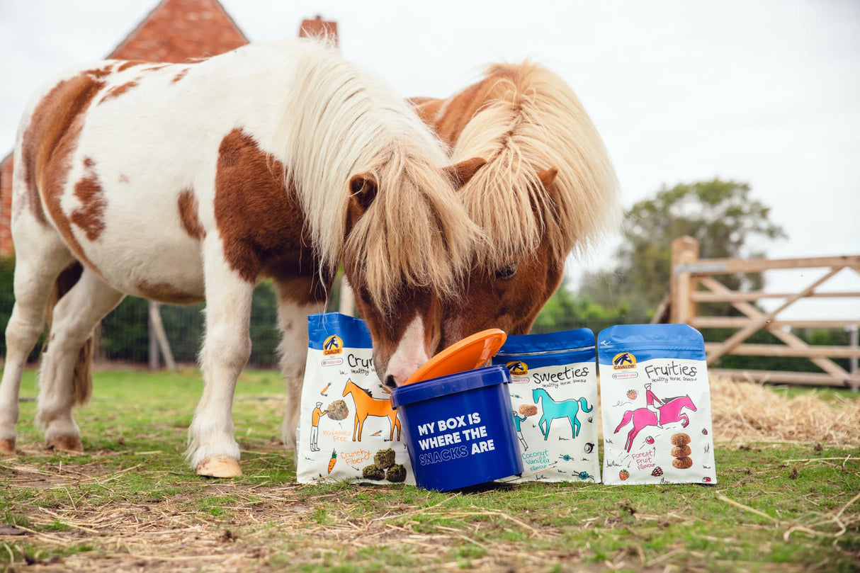Strucies healthy horse snacks Cavalor