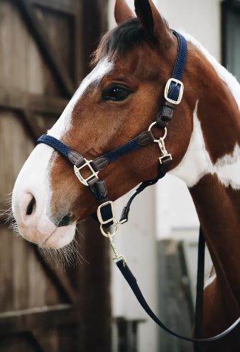 Cavezza modello Plaited Nylon navy Kentucky Full