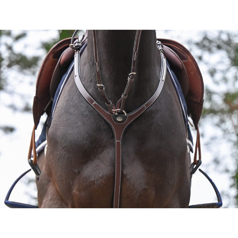 Clincher Pettorale e Martingala nero - One Collection Premium Jump'in