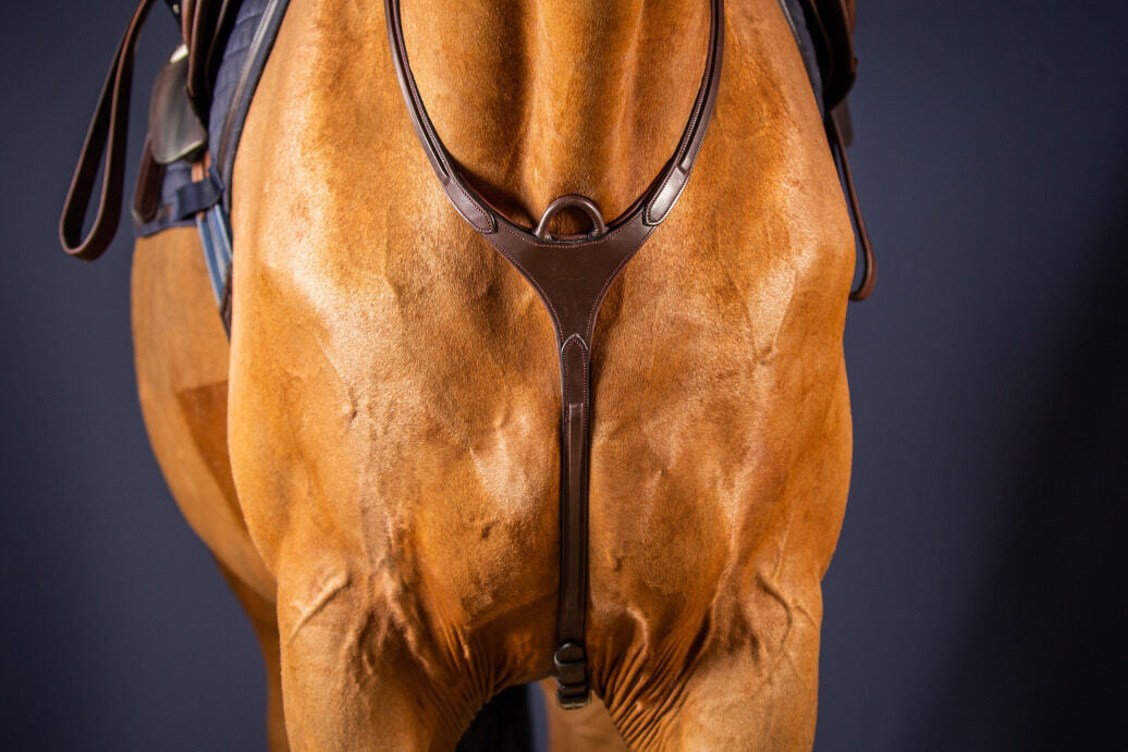 Pettorale Dy'On nero modello 'Bridge Breastplate'