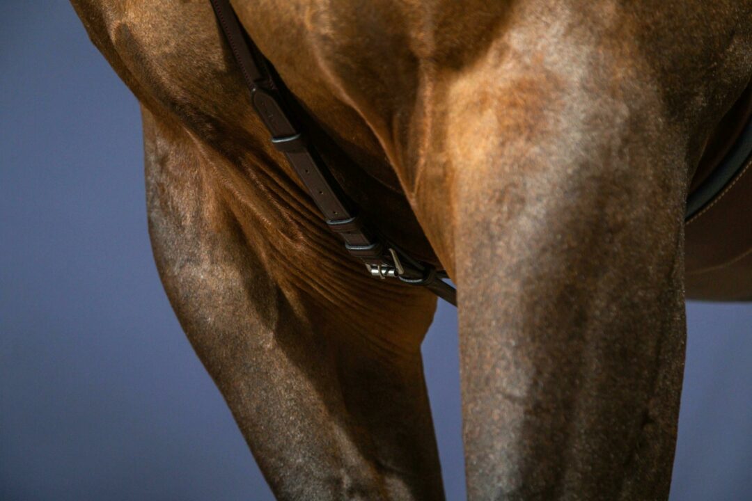 Pettorale Dy'On nero modello 'Bridge Breastplate'