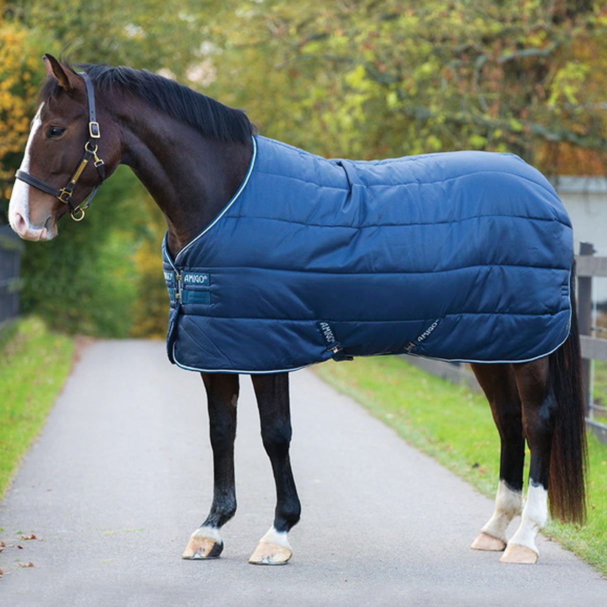 HORSEWARE COPERTA DA BOX 100 GR. AMIGO INSULATOR LITE NAVY