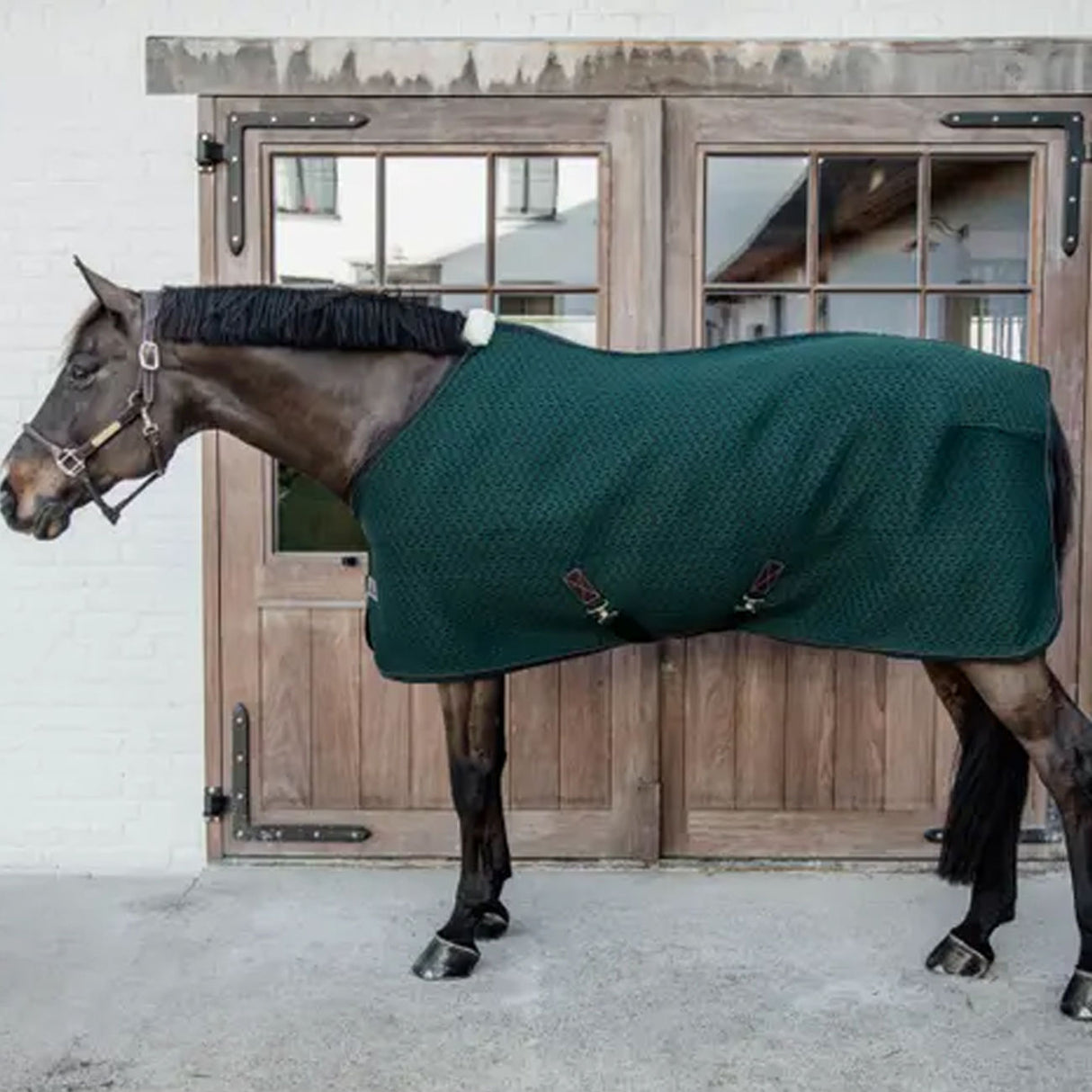 Coperta 4D Spacer Cooler Kentucky verde