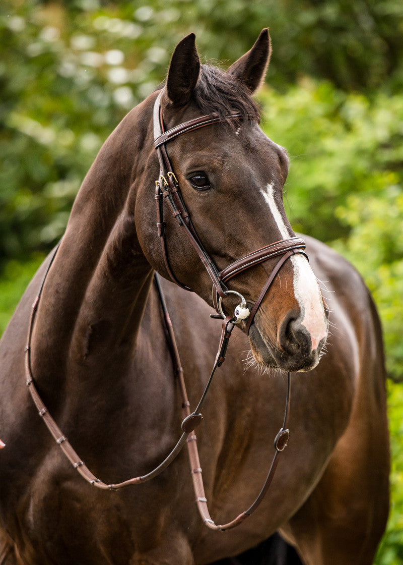 Briglia combinata Calgary