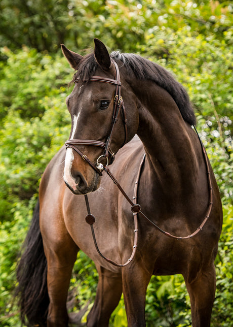 Briglia combinata Calgary