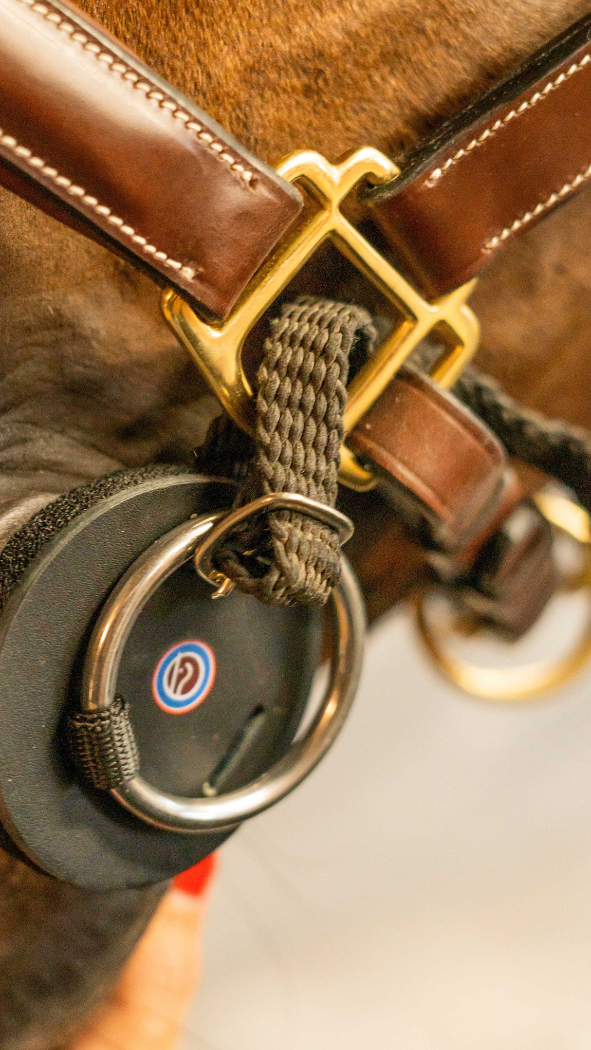 Trust Equestrian filetto in spugna