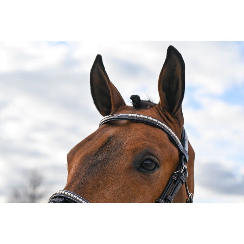 Testiera Clincher Marrone- One Collection Premium Jump'in