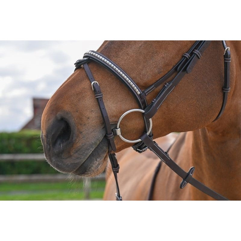 Testiera Clincher Marrone- One Collection Premium Jump'in