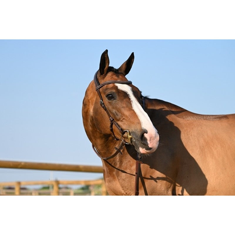 Testiera Liberty - One Collection Jump'in marrone