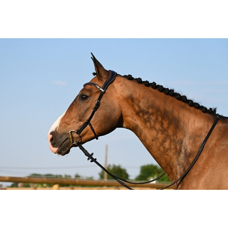 Testiera Liberty - One Collection Jump'in marrone