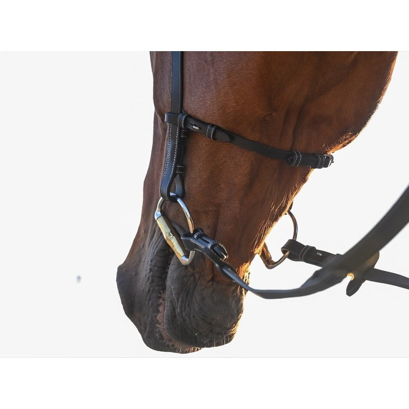 Testiera Liberty - One Collection Jump'in marrone