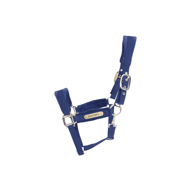 Cavezza in velluto Kentucky blu full