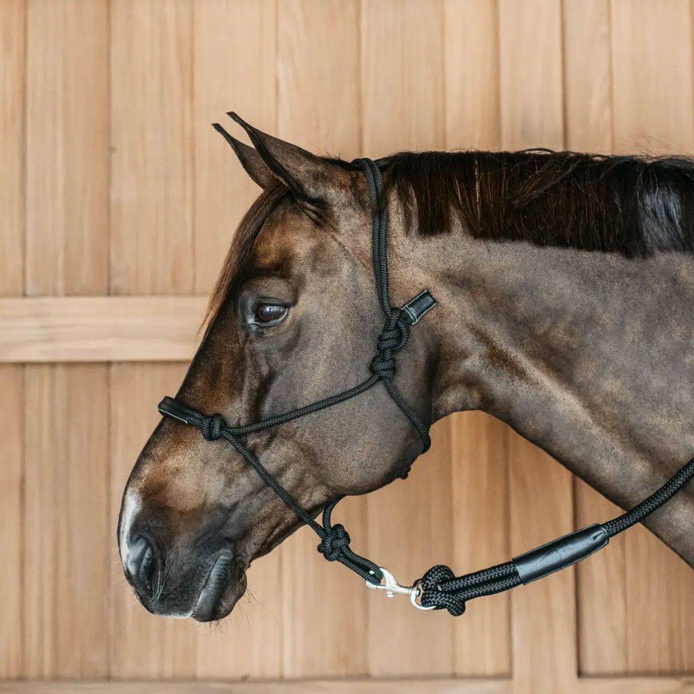 Capezza per cavallo in corda Dy'On Full