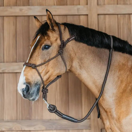 Capezza per cavallo in corda Dy'On Full