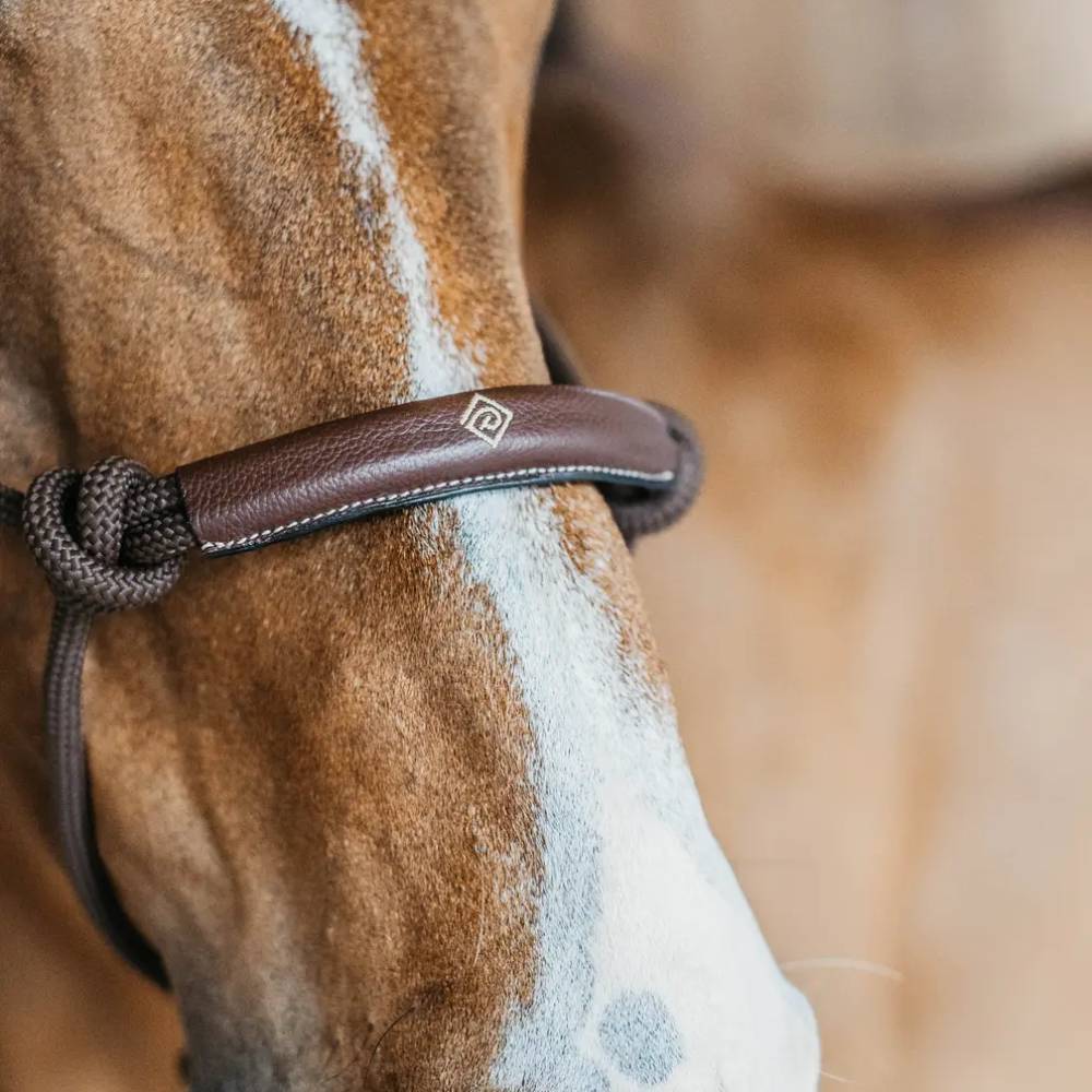 Capezza per cavallo in corda Dy'On Full