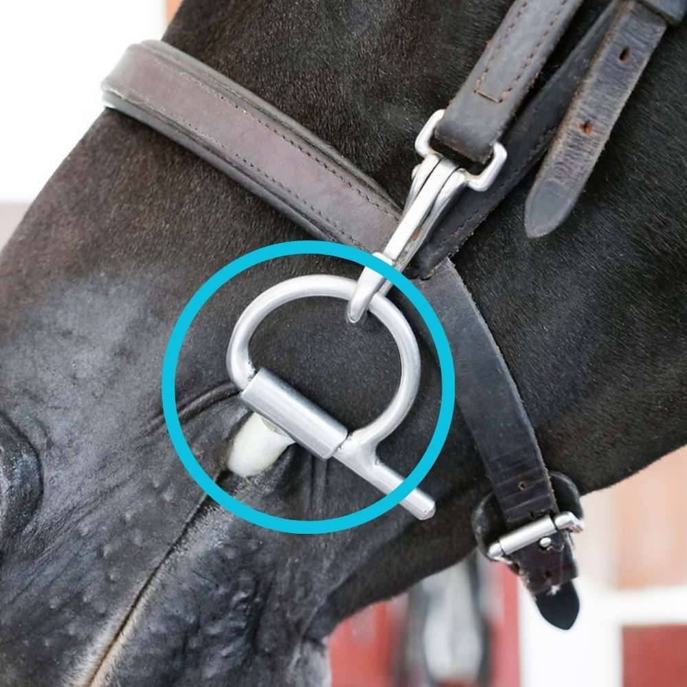 BIt Wrap Rivestimento in Latex per Morso Bit Tex