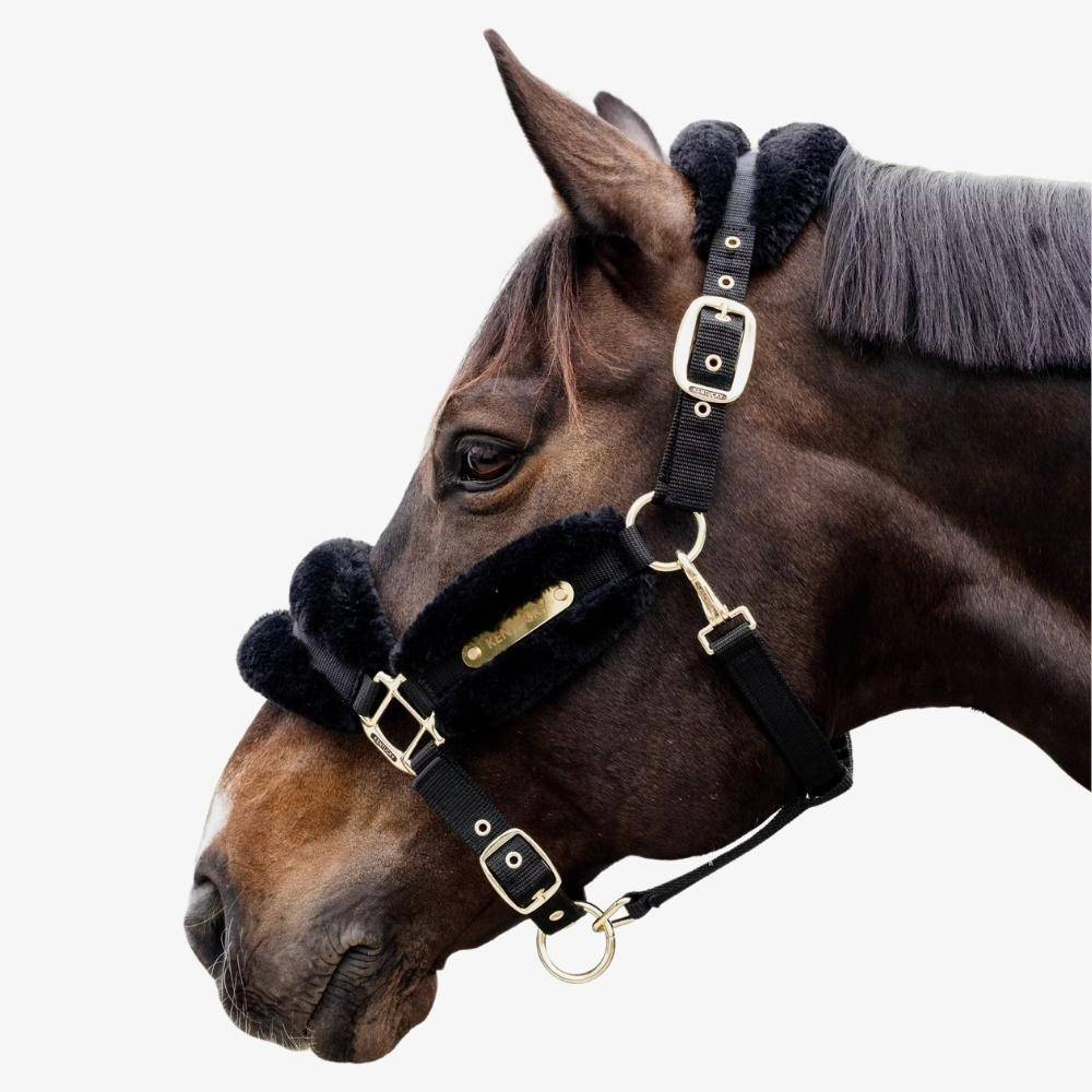 Capezza in nylon e pelliccia nera Kentucky