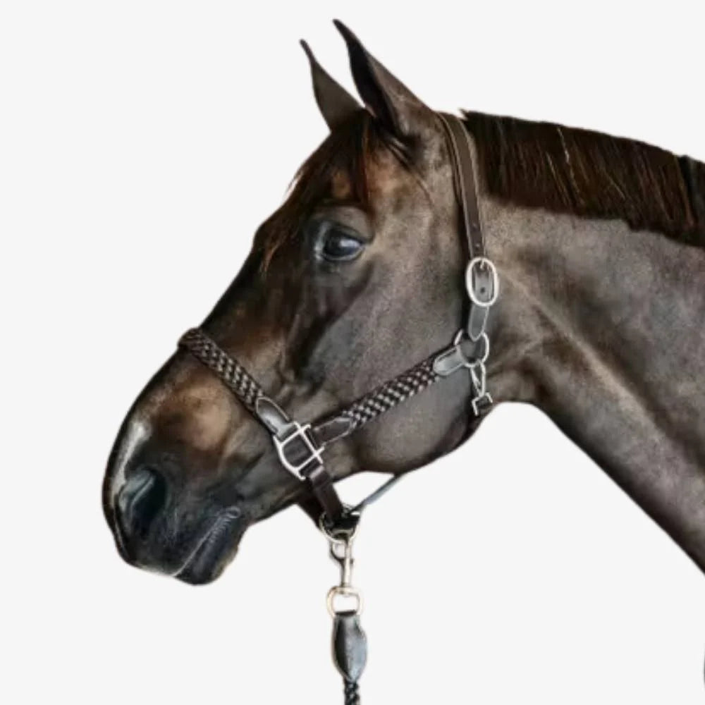 Cavezza Dy'On intrecciata full